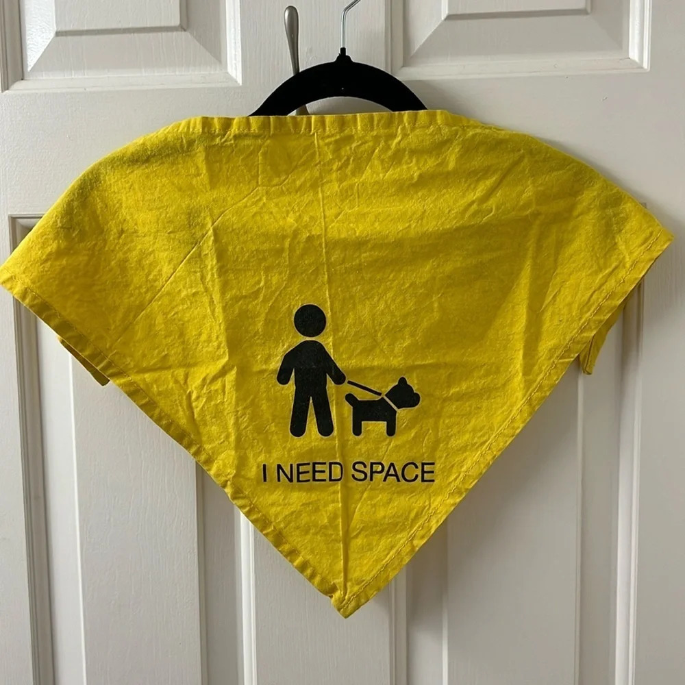 Doggy  Bandana